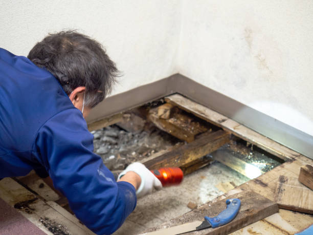 Best Post-Remediation Services in Ahwahnee, CA