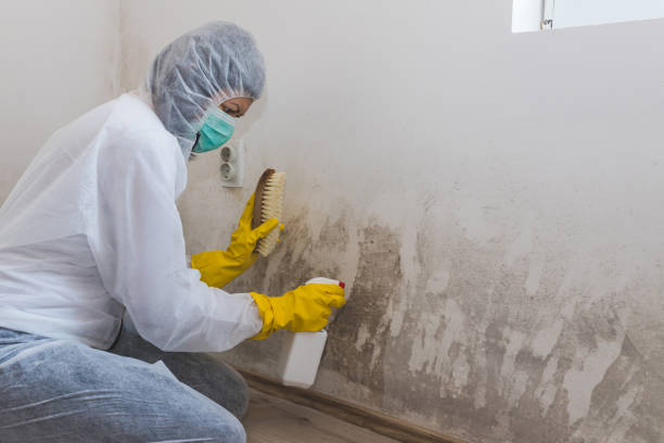 Best Crawl Space Mold Remediation in Ahwahnee, CA