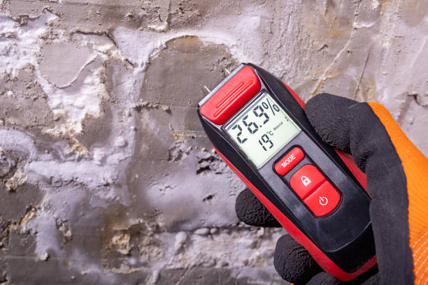 Best Residential Mold Remediation in Ahwahnee, CA